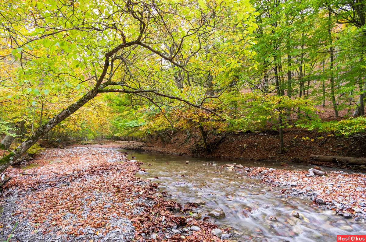 Самые длинные реки крыма: топ-10 протяженных потоков